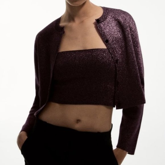 Zara Jackets & Blazers - ZARA SHINY KNIT JACKET ROUND NECK NEW MEDIUM